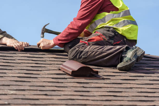 Best Gutter Installation and Roofing  in Dawsonville, GA