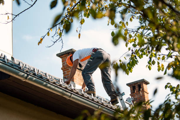 Best Roof Leak Repair  in Dawsonville, GA