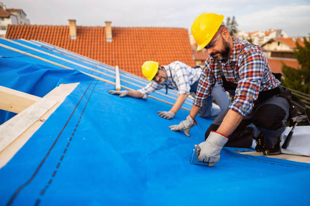 Best Metal Roofing Contractor  in Dawsonville, GA