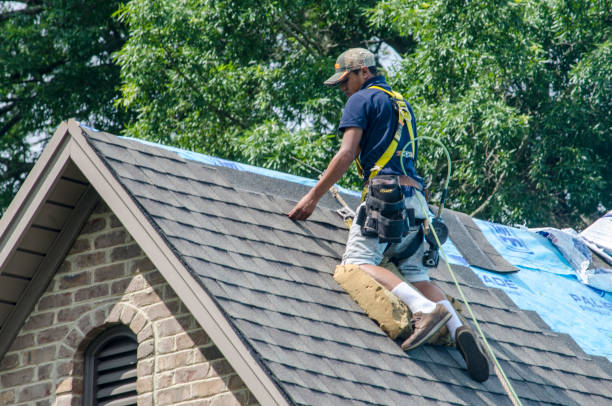 Professional Roofing Contractor in Dawsonville, GA